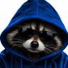 𝐑𝐀𝐂𝐂𝐎𝐈𝐍𝐙's profile picture