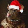 Фото профиля King Rat II