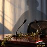 ابوبشير abwbisr's profile picture