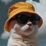 Profilbild von jack sparrow
