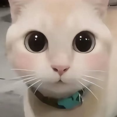 Gugugagazpxu's profile picture