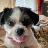 Фото профиля Rosie