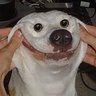 Profilbild von Krvzzz