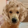 Profilbild von Tayguncifci