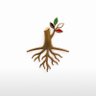 Fenjan's profile picture