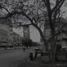 Фото профиля صنعاء