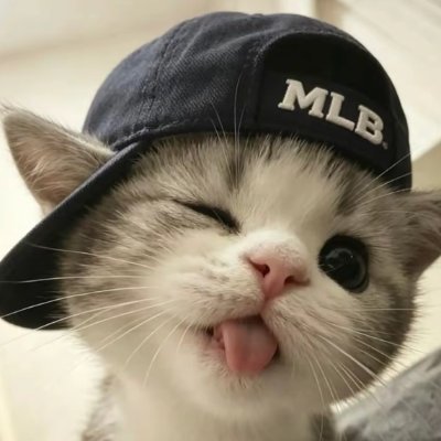 みなとチケット 🎫's profile picture