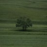سالمة 🪁 profil fotoğrafı