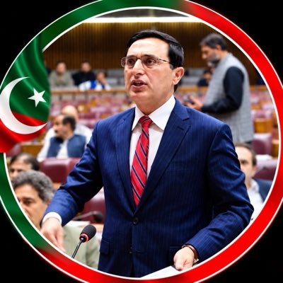 Barrister Gohar Khan's profile picture