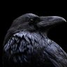 Фото профиля AUGUR NOX