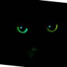 Loba1505 profil fotoğrafı