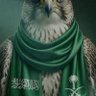 Profilbild von عز وفخر 🇸🇦