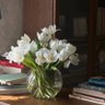 Фото профиля سَـلمىٰ.