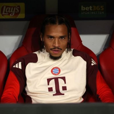 leminasarayli's profile picture