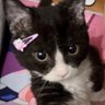 unkow's profile picture