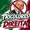 Profilbild von 🇭🇺 TRICOLORES DA DIREITA 🇭🇺
