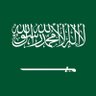 Profilbild von 🇸🇦