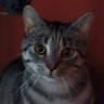 Фото профиля Johan