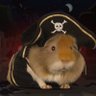 Sylvio 🏴☠️🎣's profile picture