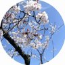 あやか's profile picture