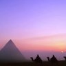 كبير الحكماء's profile picture