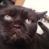 Эдуард profil fotoğrafı