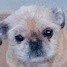 m9y_kobo's profile picture
