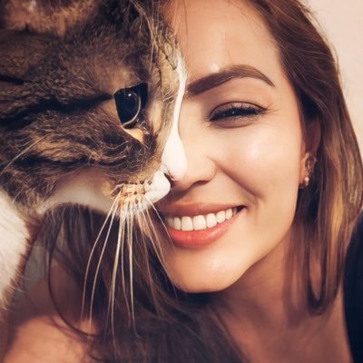 MissNegritu's profile picture