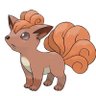 viviane's profile picture
