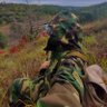 AlphaKing's profile picture