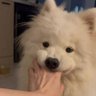 kevin.'s profile picture