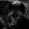 Husky Conservador's profile picture