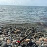 Profilbild von black sea
