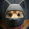Ninja Linu 🥷 profil fotoğrafı