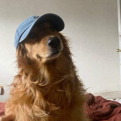 twaniimals's profile picture