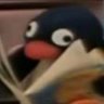 ugnipdeirfrits 🐧's profile picture