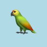 sparrow 的头像