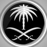 Abdulaziz's profile picture
