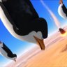 Фото профиля PenguinsRBX