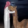 فهد 的头像