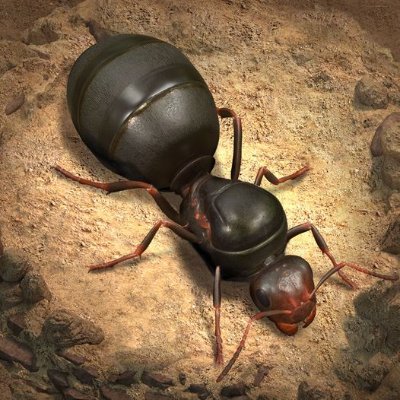 theantsjp's profile picture