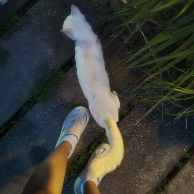 Céleste 🎋's profile picture