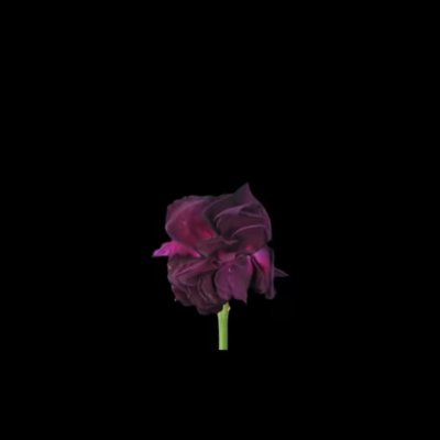 d's profile picture
