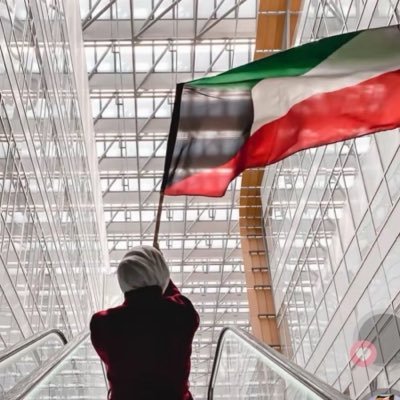 AlrayesKefaya's profile picture