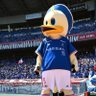 sho's profile picture