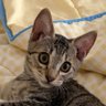 뇽이 profil fotoğrafı