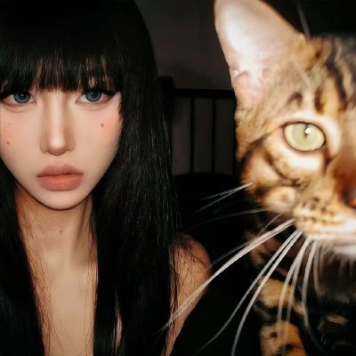 迟京's profile picture