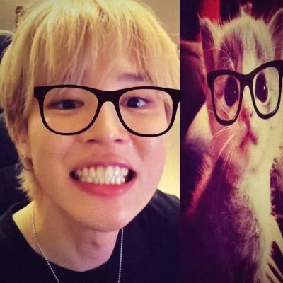 dihi's profile picture