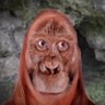 xjorrd's profile picture
