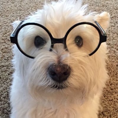 먼지's profile picture